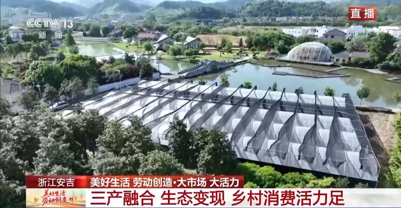
西安各大医院黄牛代挂号电话票贩子号贩子网上预约挂号,住院检查加快,大市场 大活力丨为何要在树上种铁皮石斛？这里石斛“上树”林下“生金”