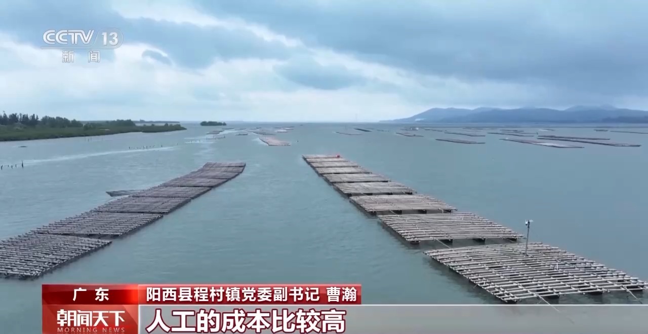 
上海第九人民医院黄牛号贩子票贩子代网上预约代挂号电话大市场 大活力丨“五一”假日餐桌海鲜热度揭秘 生蚝如何抢“鲜”出发？