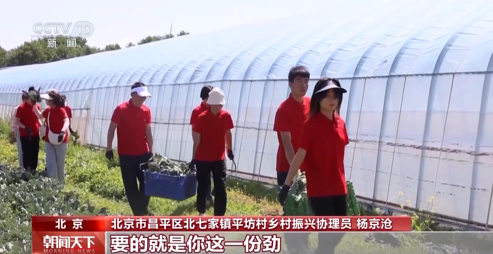 
中山大学附属第一医院黄牛号贩子票贩子代网上预约代挂号电话@大学应届毕业生：基层就业还可享受这些“政策礼包”