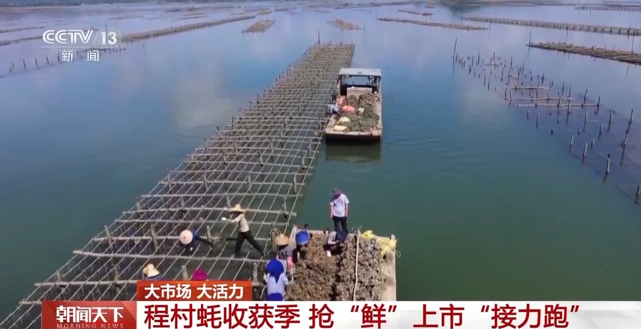 
上海第九人民医院黄牛号贩子票贩子代网上预约代挂号电话大市场 大活力丨“五一”假日餐桌海鲜热度揭秘 生蚝如何抢“鲜”出发？