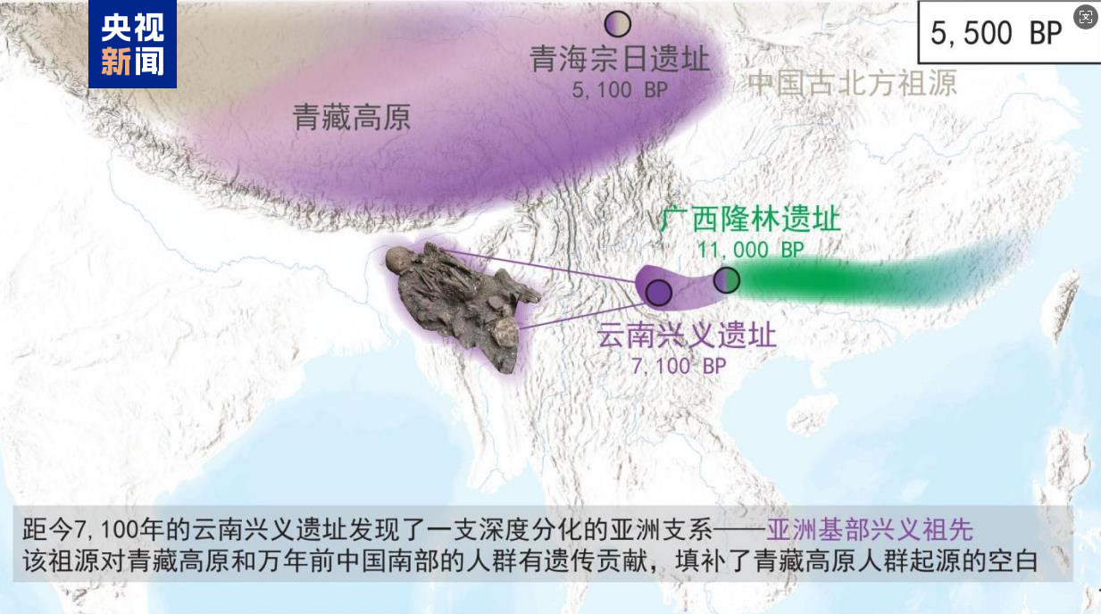 
南京眼科医院黄牛代挂号电话票贩子号贩子网上预约挂号,住院检查加快,我国科学家揭示青藏高原“幽灵祖先”遗传起源之谜