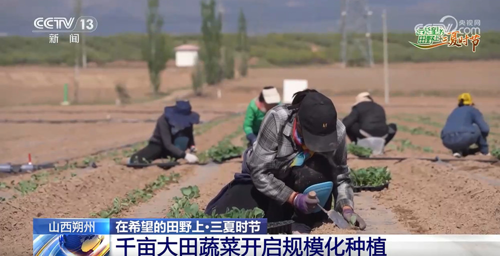 
长沙湘雅医院黄牛代挂号电话票贩子号贩子网上预约挂号,住院检查加快,农技护航、智慧种田 “三夏”时节各地都在抢农时 忙耕种