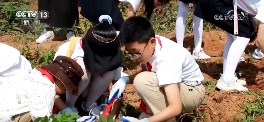 
广州口腔医院黄牛代挂号电话票贩子号贩子网上预约挂号,住院检查加快,文物修复、科技互动、法治沙龙……多彩活动迎“六一” 争做强国少年