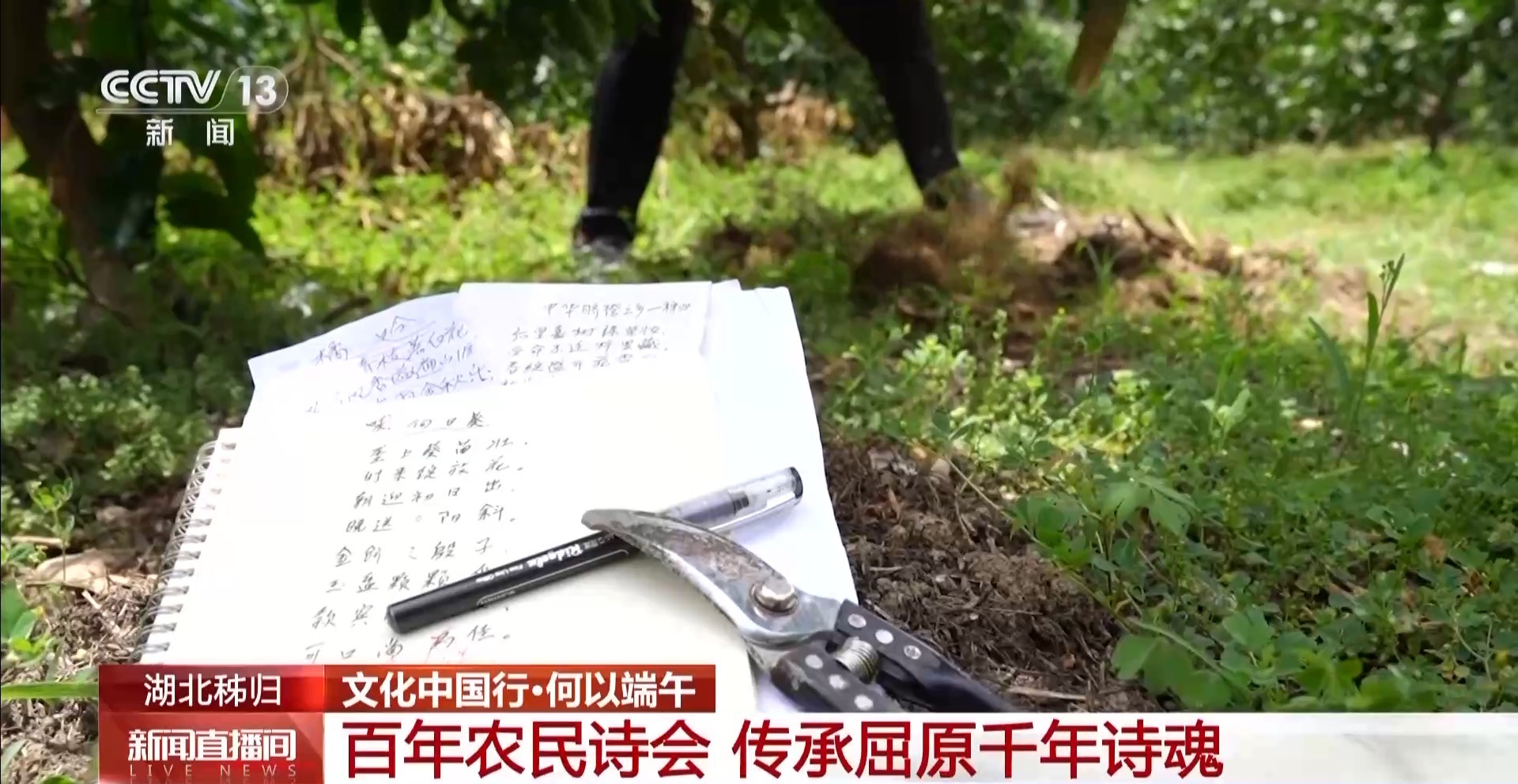 
上海肿瘤医院黄牛代挂号电话票贩子号贩子网上预约挂号,住院检查加快,文化中国行丨在屈原故里，端午是持续近一个月的节日
