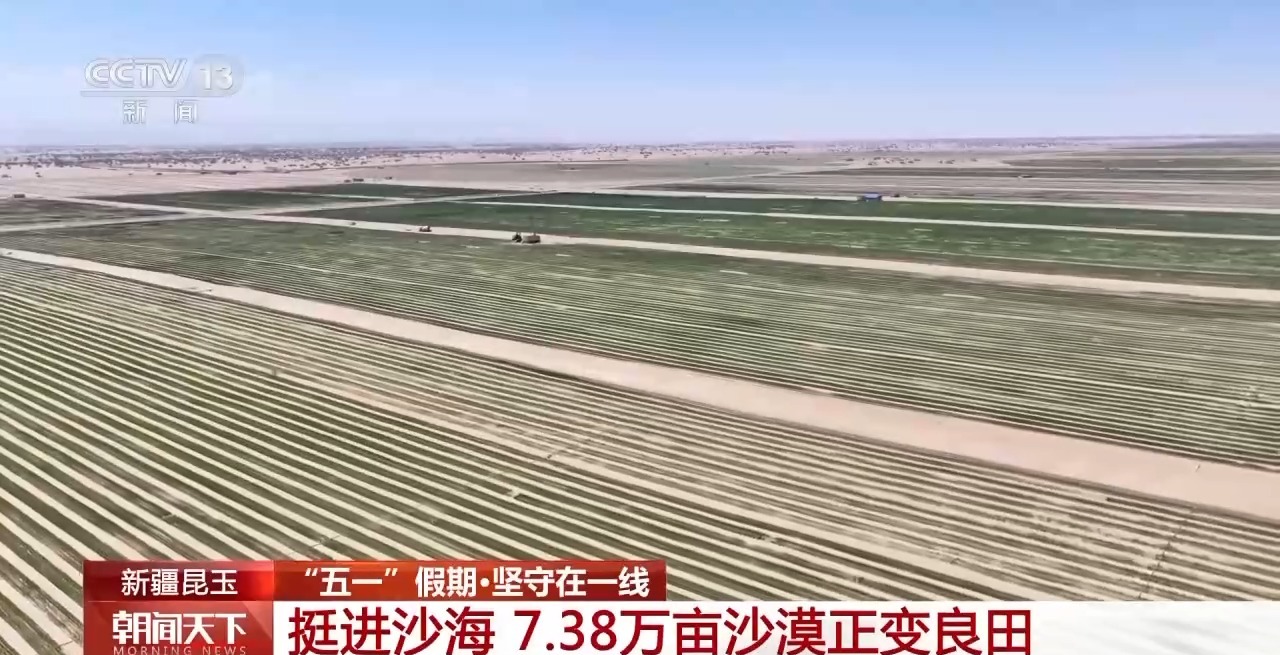 
北大人民医院黄牛号贩子票贩子代网上预约代挂号电话挺进沙海鏖战不停歇 7.38万亩沙漠正变良田