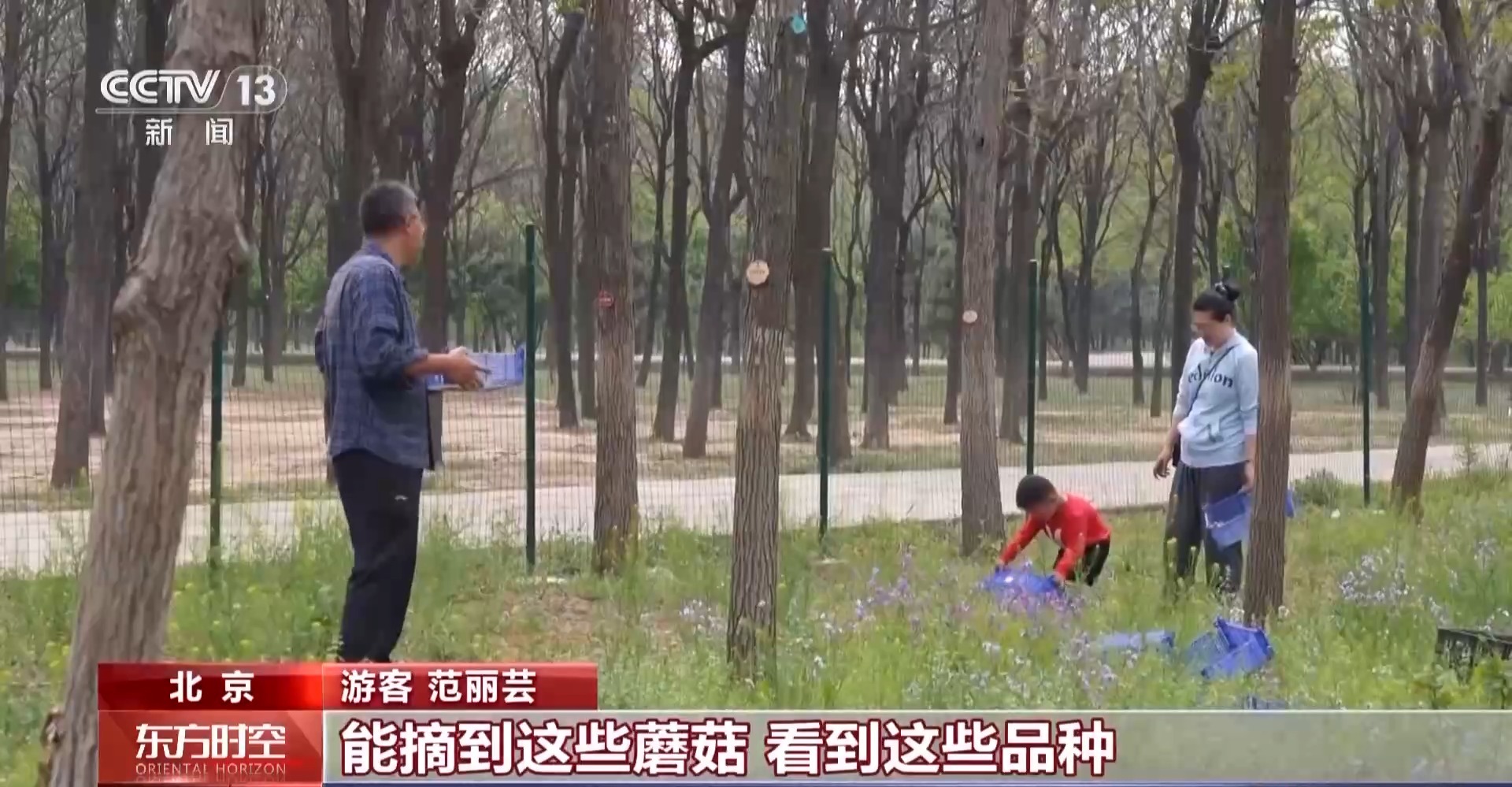 
上海第九人民医院黄牛号贩子票贩子代网上预约代挂号电话采蘑菇、捉油鸡 这个假期来京郊感受林间野趣