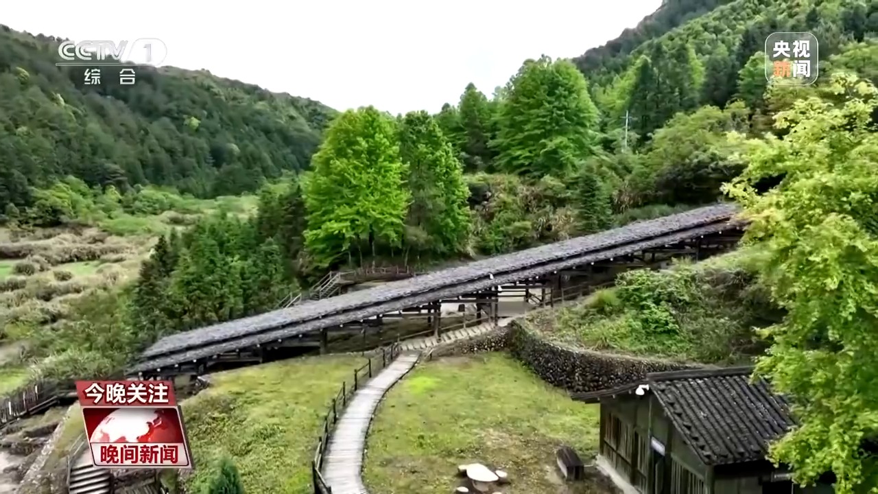 
上海肺科医院黄牛号贩子票贩子代网上预约代挂号电话千年经典向新行丨烧制上等龙泉青瓷 “气氛”必不可少