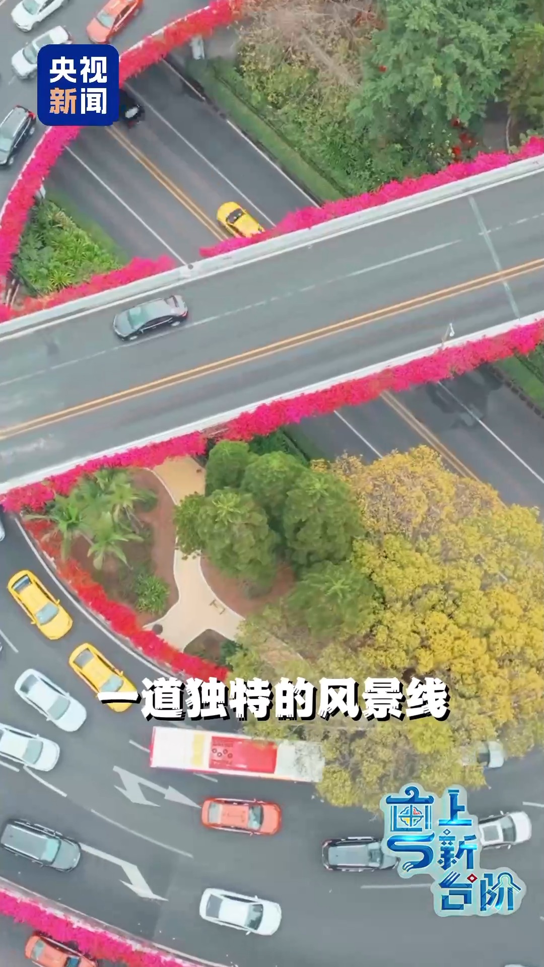 
广东省人民医院黄牛代挂号电话票贩子号贩子网上预约挂号,住院检查加快,“粤”上新台阶丨春天花会开 但什么花能开一年四季？