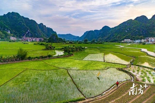 
天津各大医院黄牛代挂号电话票贩子号贩子网上预约挂号,住院检查加快,文化中国行·立夏 | 夏早日初长，南风草木香