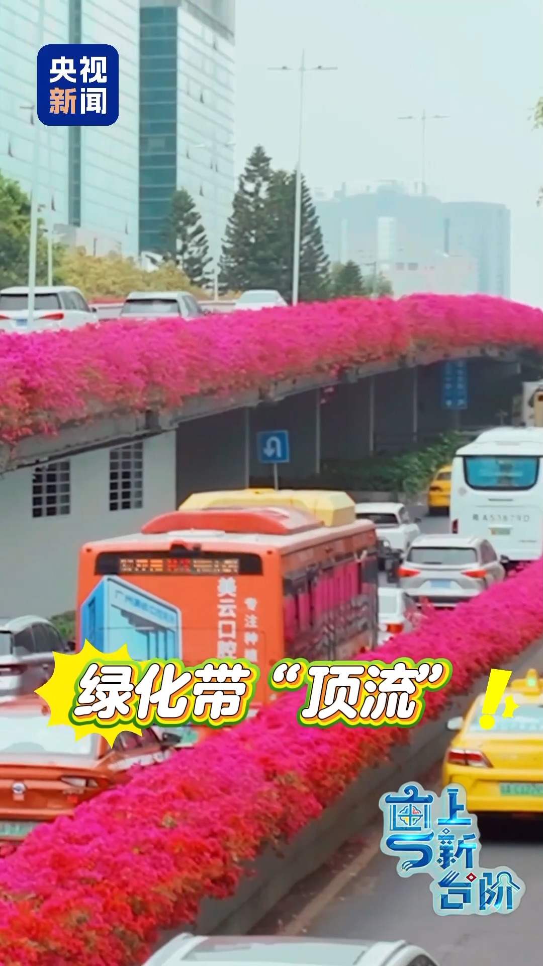 
广东省人民医院黄牛代挂号电话票贩子号贩子网上预约挂号,住院检查加快,“粤”上新台阶丨春天花会开 但什么花能开一年四季？