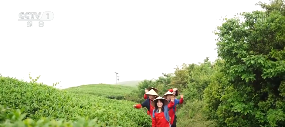 
中国中医科学院望京医院黄牛代挂号电话票贩子号贩子网上预约挂号,住院检查加快,“五一”假期“农文商旅体”融合释放多彩活力 “新玩法”拉动假日消费热潮