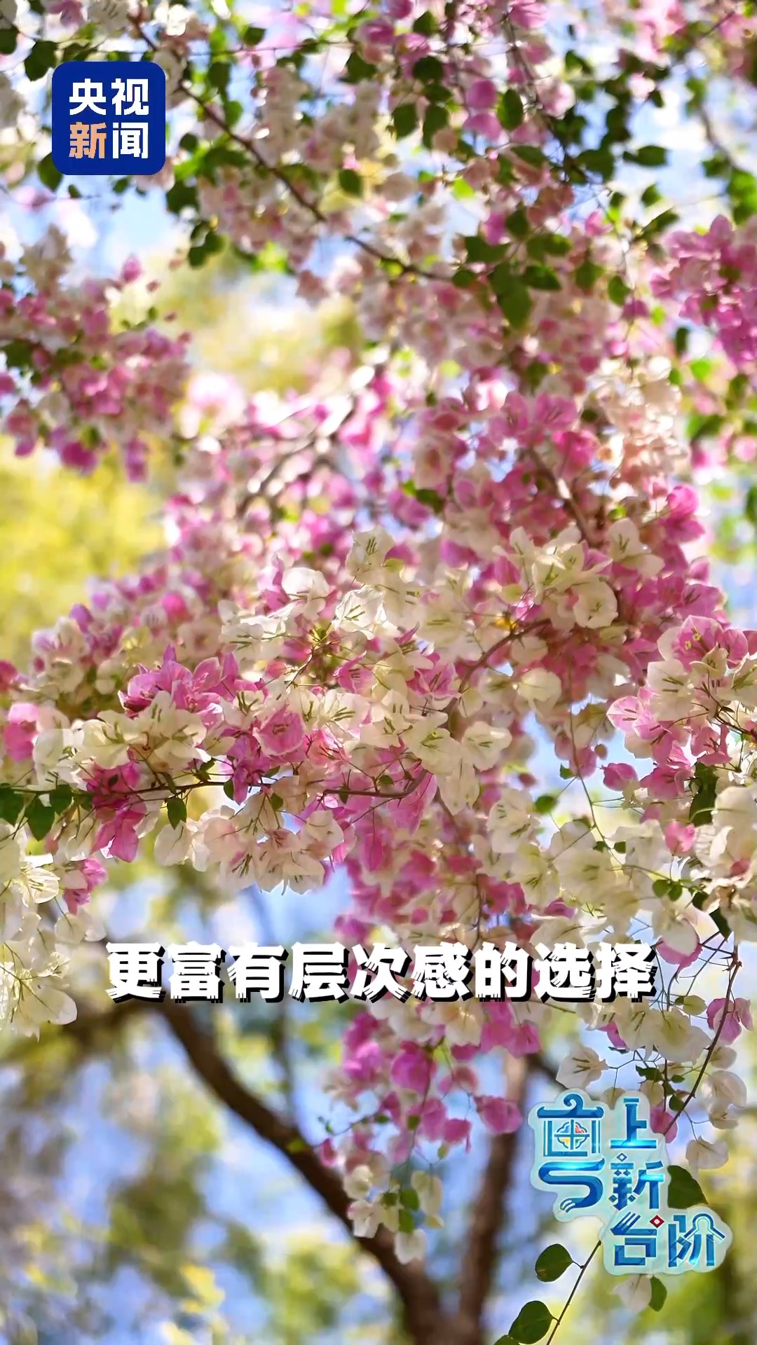 
广东省人民医院黄牛代挂号电话票贩子号贩子网上预约挂号,住院检查加快,“粤”上新台阶丨春天花会开 但什么花能开一年四季？