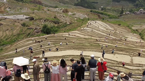成都华西医院黄牛代挂号电话票贩子号贩子网上预约挂号,住院检查加快,以数观势|“五一”假期热潮涌动 假日经济活力迸发
