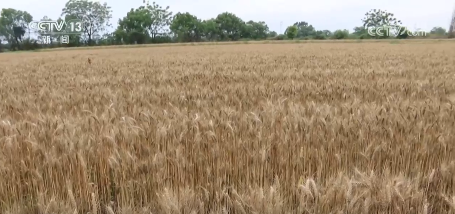 
浙江大学邵逸夫医院黄牛代挂号电话票贩子号贩子网上预约挂号,住院检查加快,“科技+”成为各地田管关键词 希望的田野按下农业生产“升级键”