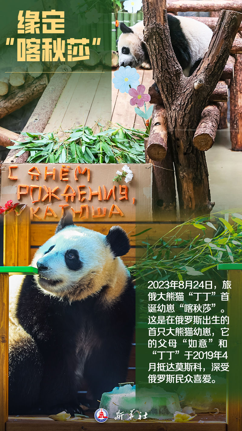
杭州西溪医院黄牛代挂号电话票贩子号贩子网上预约挂号,住院检查加快,海报 | 你好，俄罗斯