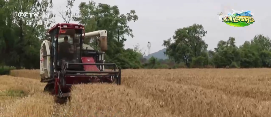
浙江大学邵逸夫医院黄牛代挂号电话票贩子号贩子网上预约挂号,住院检查加快,“科技+”成为各地田管关键词 希望的田野按下农业生产“升级键”