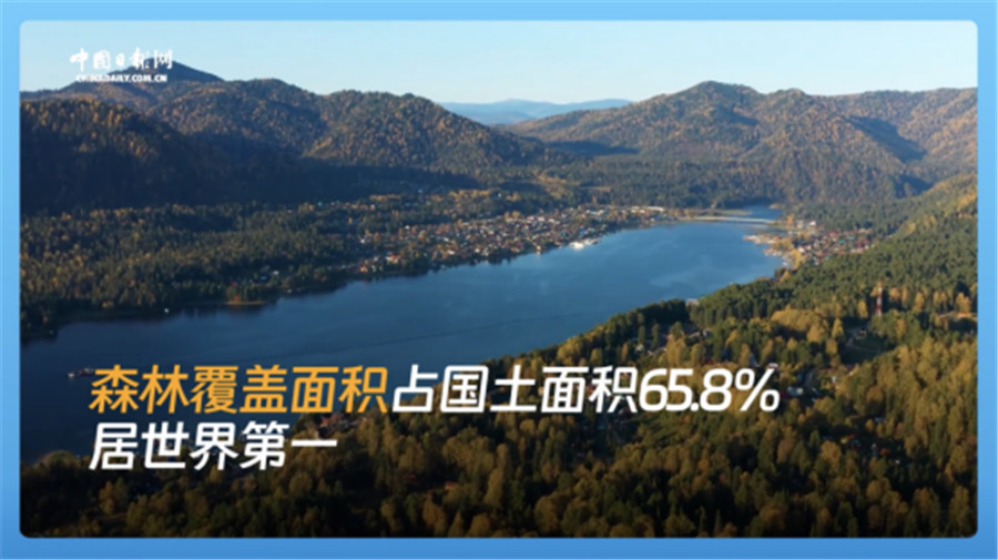 
二龙路肛肠医院黄牛代挂号电话票贩子号贩子网上预约挂号,住院检查加快,跟着习主席看世界 | 走进俄罗斯：铭记历史，开创未来