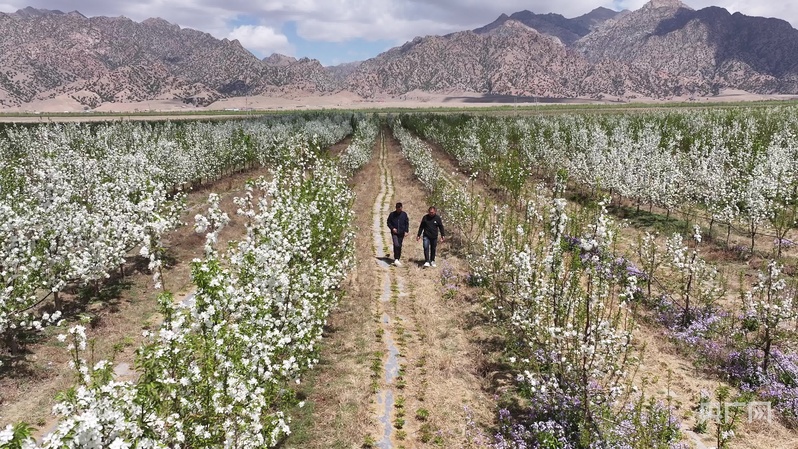 
杭州各大医院黄牛代挂号电话票贩子号贩子网上预约挂号,住院检查加快,高质量发展看中国｜一个村庄的生态逆袭与共富密码