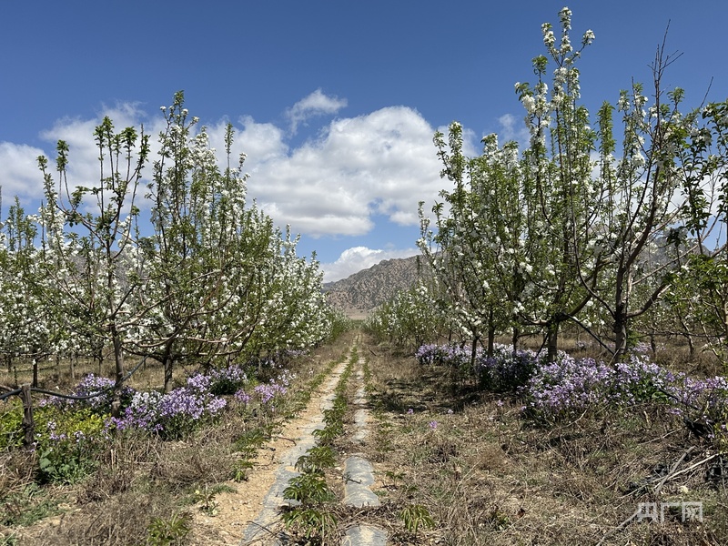 
杭州各大医院黄牛代挂号电话票贩子号贩子网上预约挂号,住院检查加快,高质量发展看中国｜一个村庄的生态逆袭与共富密码