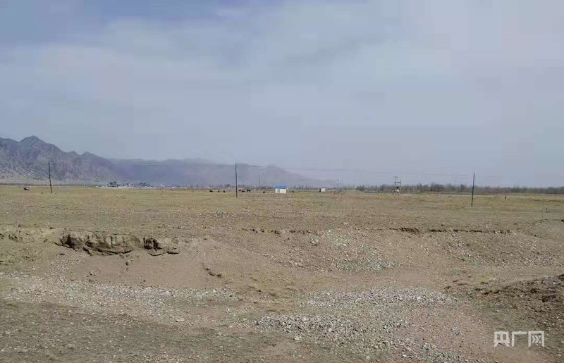 
杭州各大医院黄牛代挂号电话票贩子号贩子网上预约挂号,住院检查加快,高质量发展看中国｜一个村庄的生态逆袭与共富密码