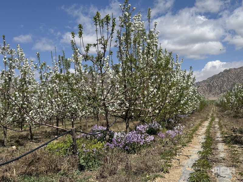 
杭州各大医院黄牛代挂号电话票贩子号贩子网上预约挂号,住院检查加快,高质量发展看中国｜一个村庄的生态逆袭与共富密码