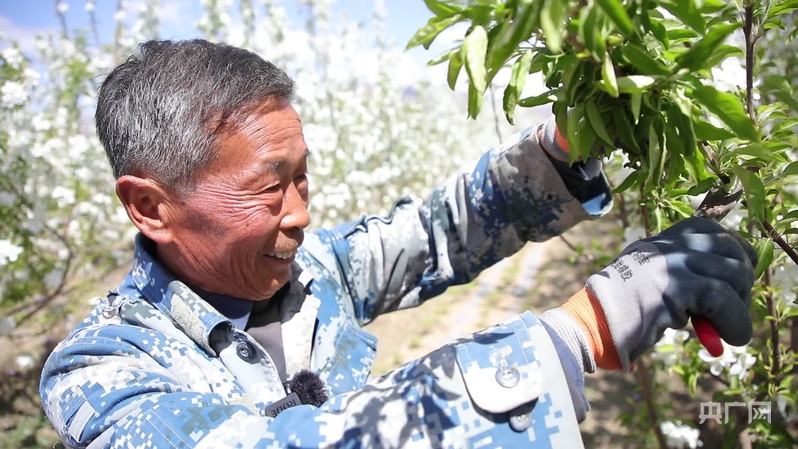 
杭州各大医院黄牛代挂号电话票贩子号贩子网上预约挂号,住院检查加快,高质量发展看中国｜一个村庄的生态逆袭与共富密码