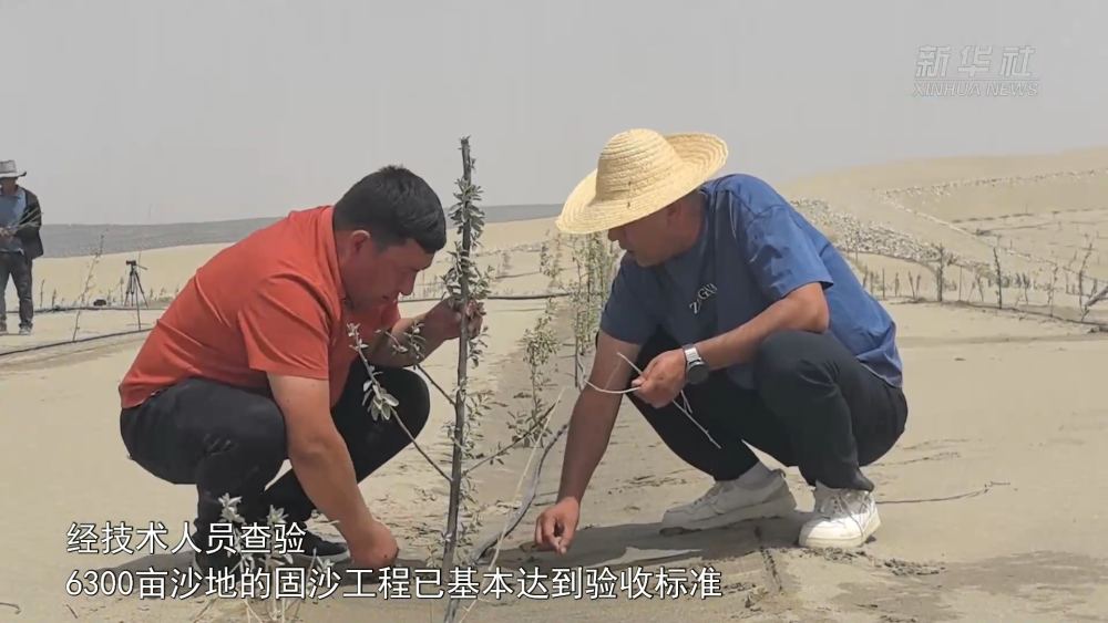 
广州市妇女儿童医疗中心黄牛代挂号电话票贩子号贩子网上预约挂号,住院检查加快,新疆和田市6300亩防沙治沙林进入验收阶段