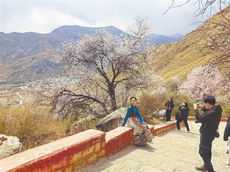 
中山一院黄牛代挂号电话票贩子号贩子网上预约挂号,住院检查加快,“赏花经济”激发文旅新活力 各地群众吃上“旅游饭”