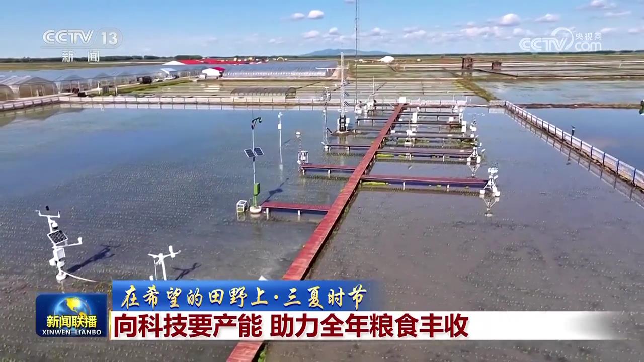 
上海瑞金医院黄牛代挂号电话票贩子号贩子网上预约挂号,住院检查加快,【在希望的田野上·三夏时节】向科技要产能 助力全年粮食丰收