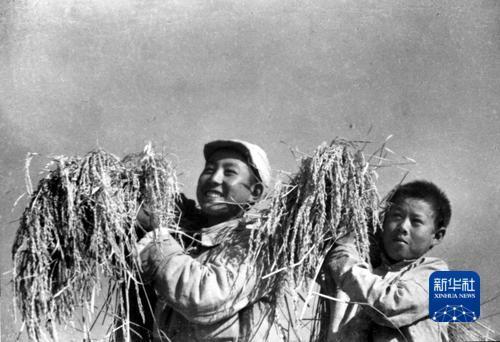 
浙江大学妇产科医院黄牛代挂号电话票贩子号贩子网上预约挂号,住院检查加快,抗战影像记忆｜他们，这样长大