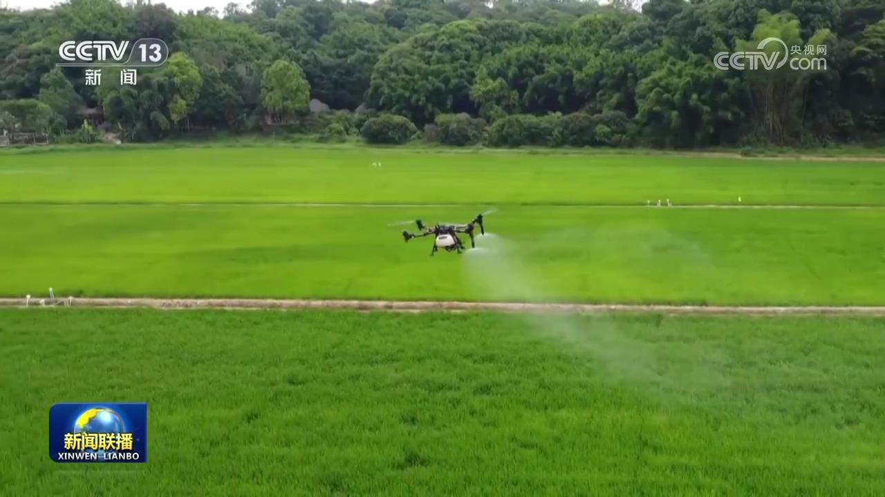 
上海瑞金医院黄牛代挂号电话票贩子号贩子网上预约挂号,住院检查加快,【在希望的田野上·三夏时节】向科技要产能 助力全年粮食丰收