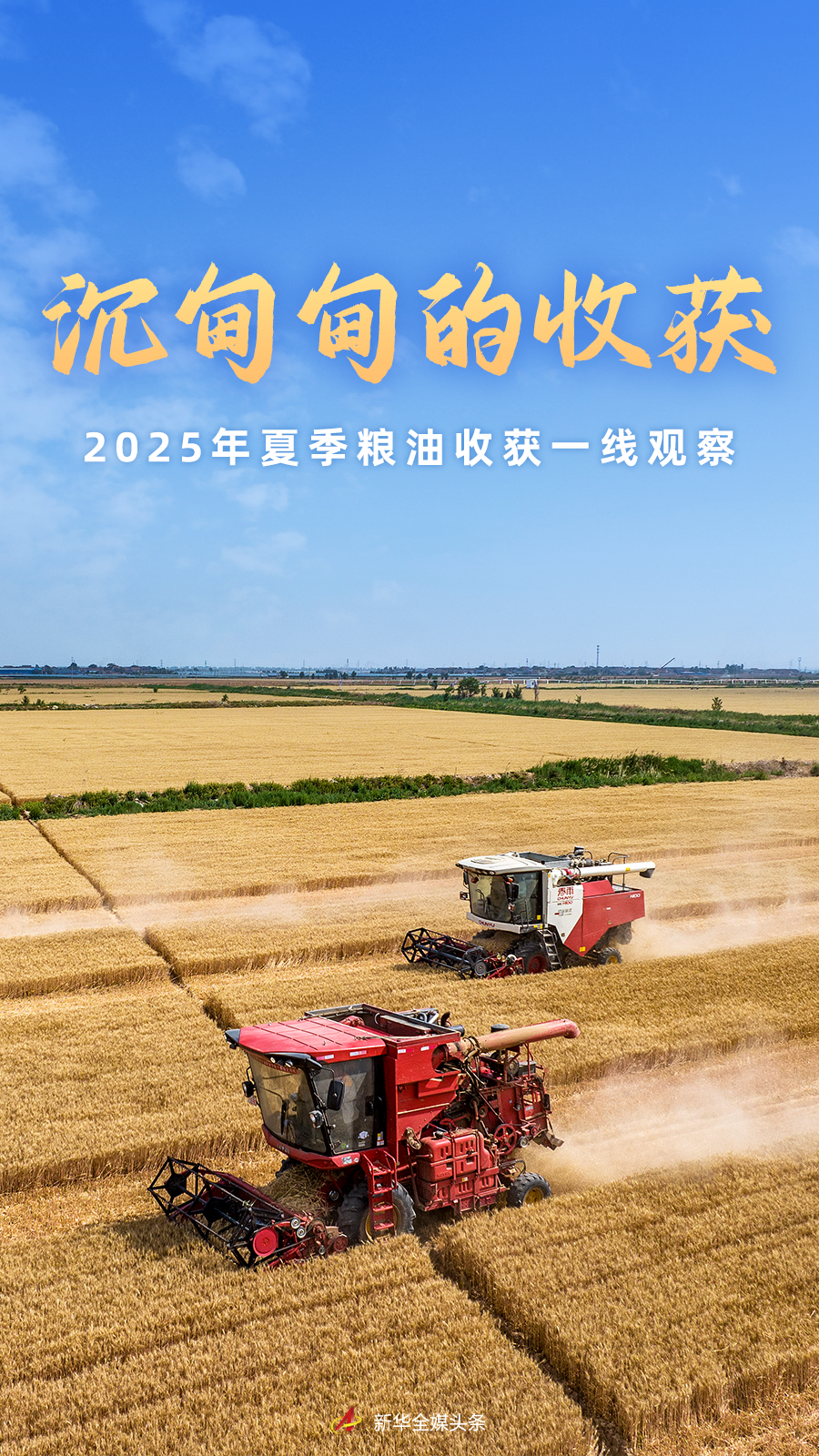 
广州市第一人民医院黄牛代挂号电话票贩子号贩子网上预约挂号,住院检查加快,沉甸甸的收获——2025年夏季粮油收获一线观察