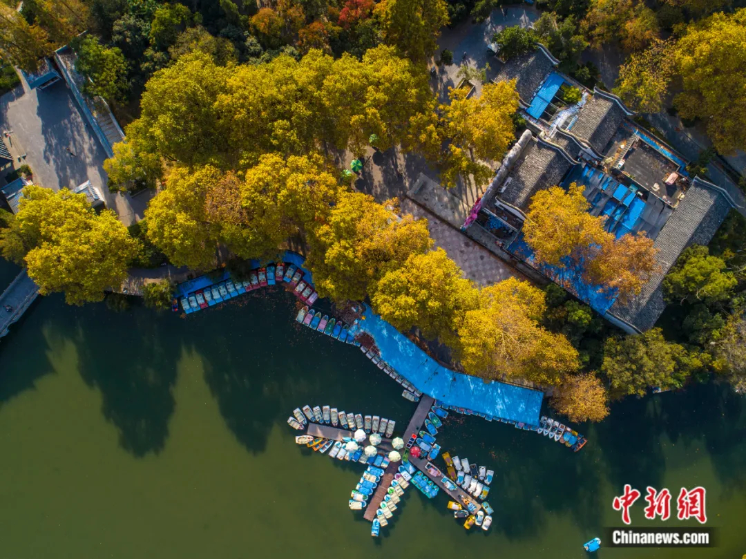 
杭州市富阳中医骨伤医院黄牛代挂号电话票贩子号贩子网上预约挂号,住院检查加快,人这一辈子，一定要去一趟合肥！