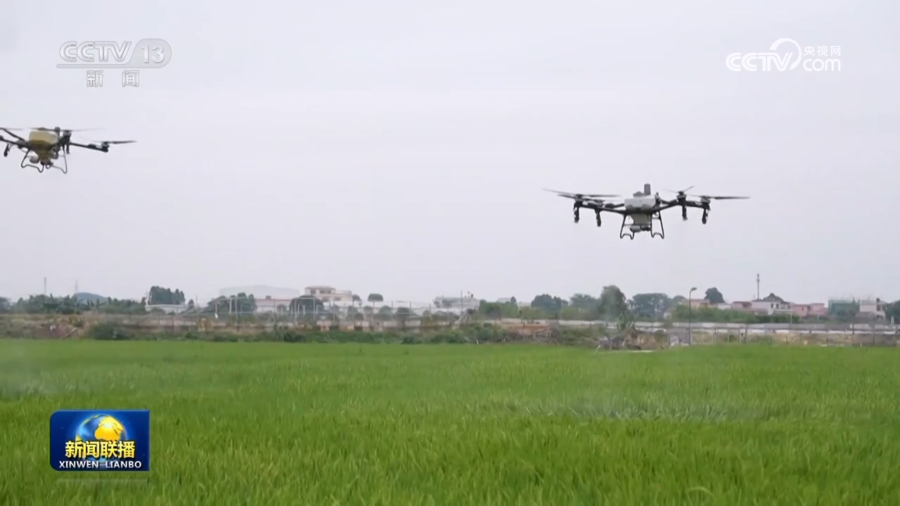 
北京大学第六医院黄牛代挂号电话票贩子号贩子网上预约挂号,住院检查加快,【在希望的田野上·三夏时节】各地麦收加速推进 夏种夏管有序进行
