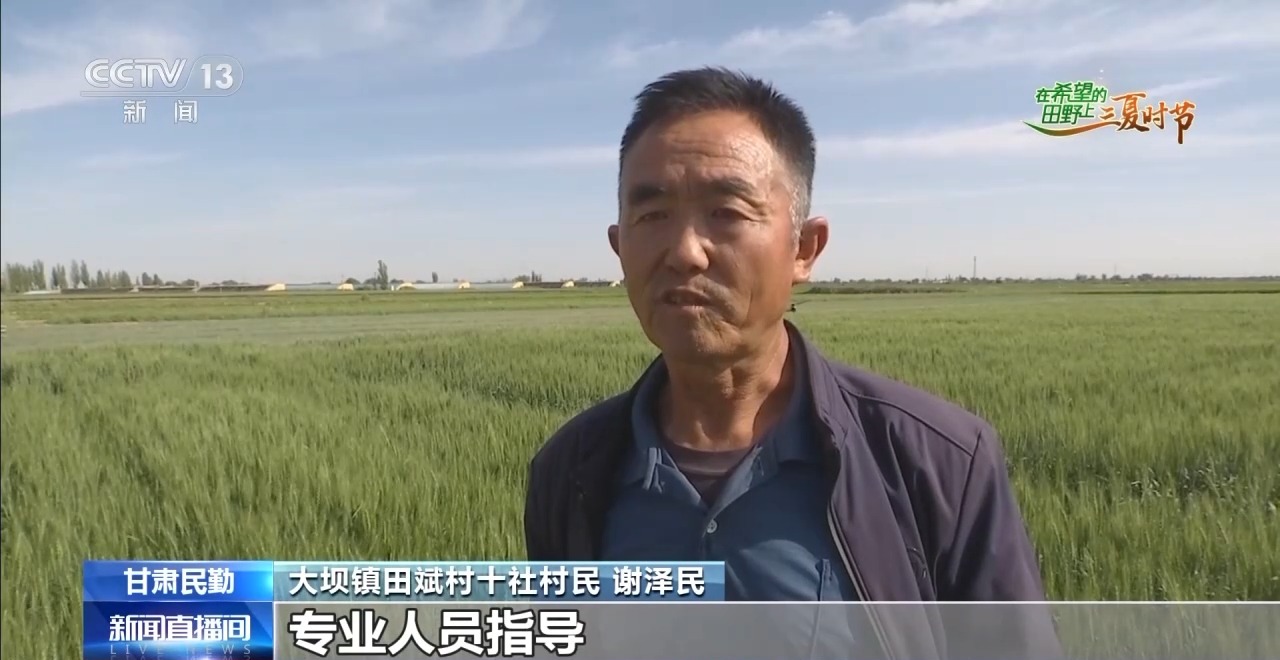 
中日友好医院黄牛代挂号电话票贩子号贩子网上预约挂号,住院检查加快,“良技+良机” 这个夏收季“科技范”满满