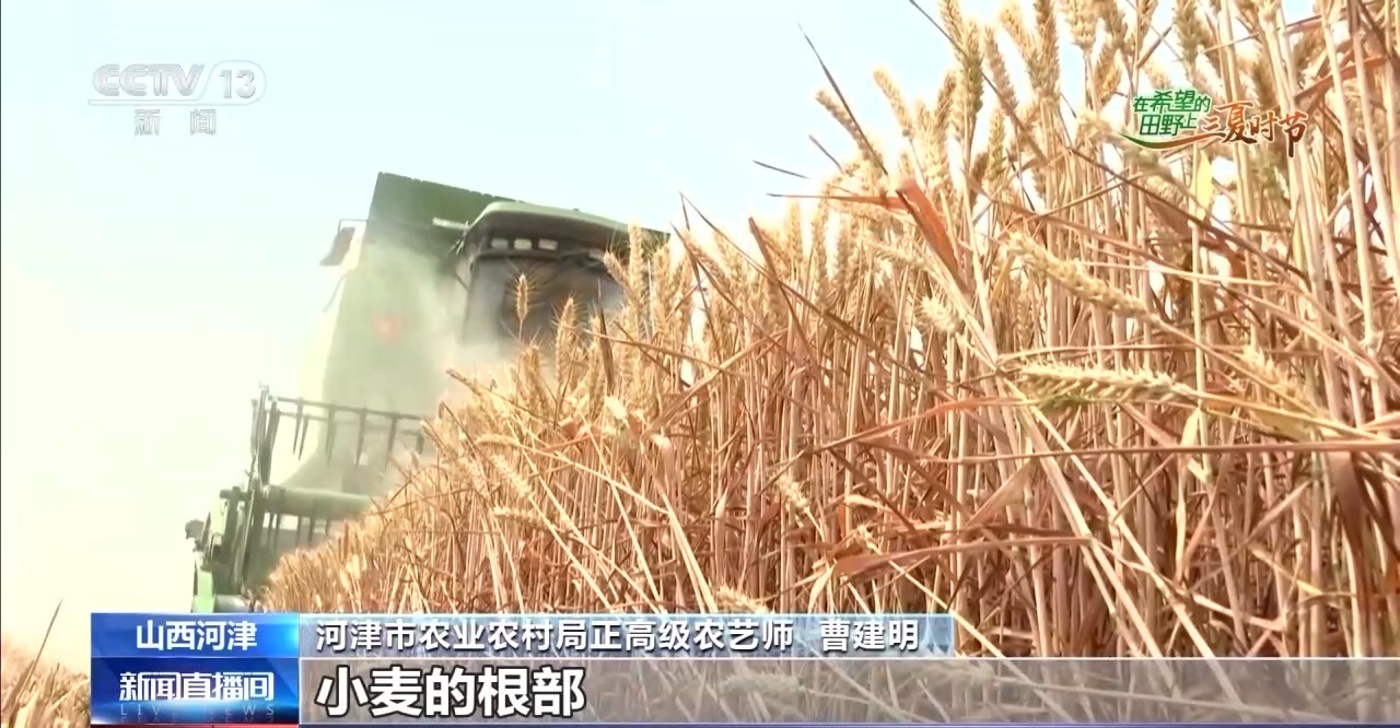 
中日友好医院黄牛代挂号电话票贩子号贩子网上预约挂号,住院检查加快,“良技+良机” 这个夏收季“科技范”满满