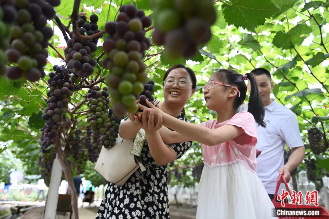 
杭州市富阳中医骨伤医院黄牛代挂号电话票贩子号贩子网上预约挂号,住院检查加快,人这一辈子，一定要去一趟合肥！