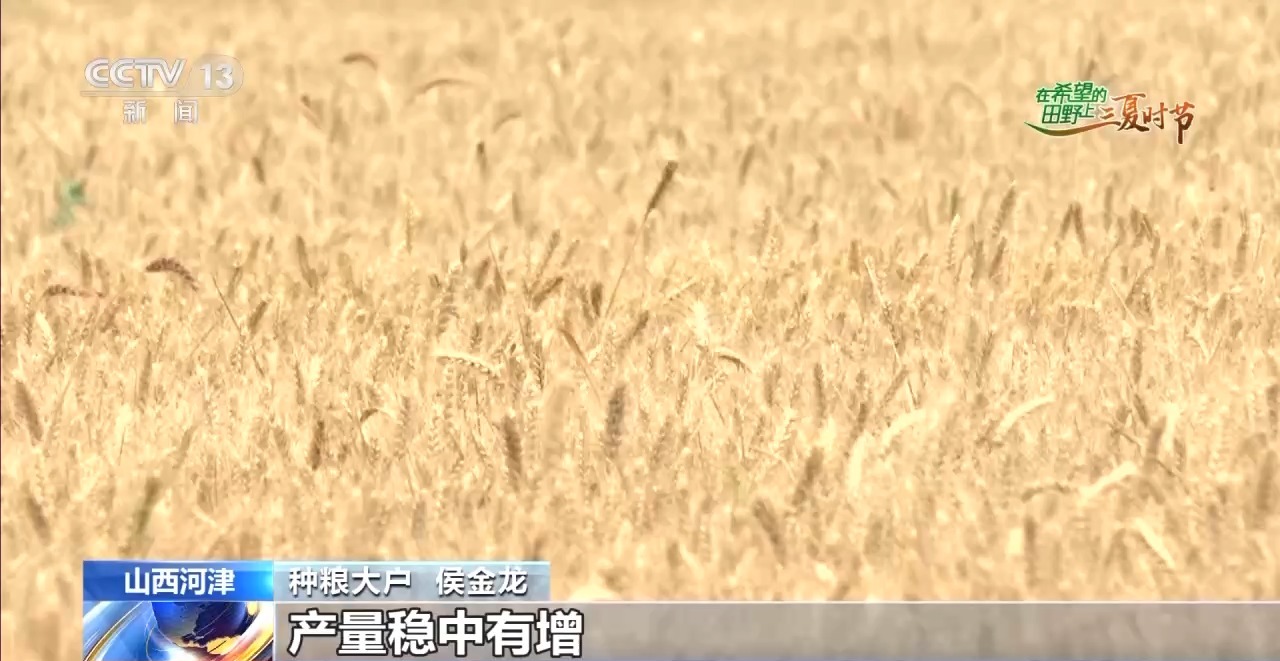 
中日友好医院黄牛代挂号电话票贩子号贩子网上预约挂号,住院检查加快,“良技+良机” 这个夏收季“科技范”满满