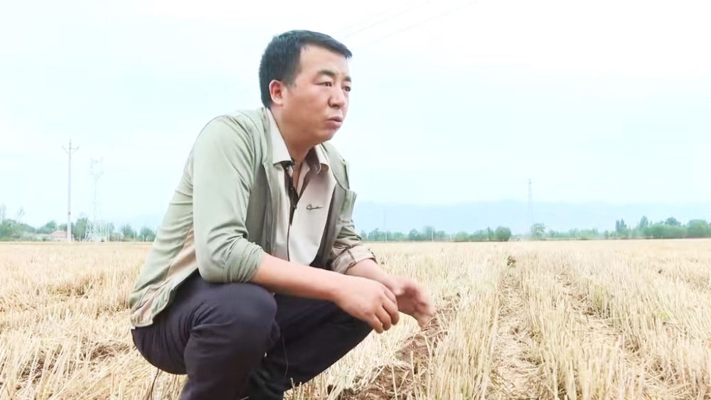 
杭州市富阳中医骨伤医院黄牛代挂号电话票贩子号贩子网上预约挂号,住院检查加快,“三夏”生产一线观察｜听，种粮大户的“丰收密码”