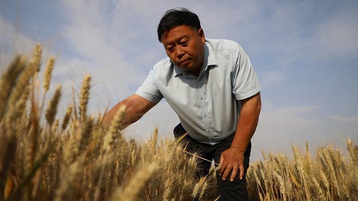 
杭州市富阳中医骨伤医院黄牛代挂号电话票贩子号贩子网上预约挂号,住院检查加快,“三夏”生产一线观察｜听，种粮大户的“丰收密码”