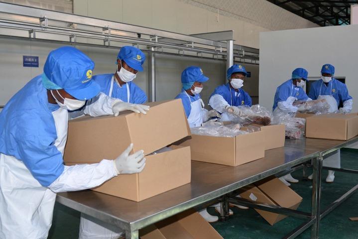 
浙江省中医院黄牛代挂号电话票贩子号贩子网上预约挂号,住院检查加快,在现代化道路上坚定携手同行——习近平主席贺信凝聚起共建新时代全天候中非命运共同体的奋进力量