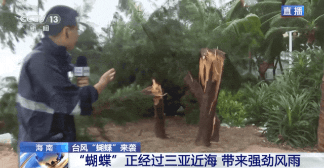 
天津各大医院黄牛代挂号电话票贩子号贩子网上预约挂号,住院检查加快,“蝴蝶”逼近 掀起4米多巨浪！哪些地方将现极端风雨？