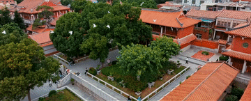 
上海儿童医院黄牛代挂号电话票贩子号贩子网上预约挂号,住院检查加快,总书记关心的世界文化遗产｜海丝起点通天下
