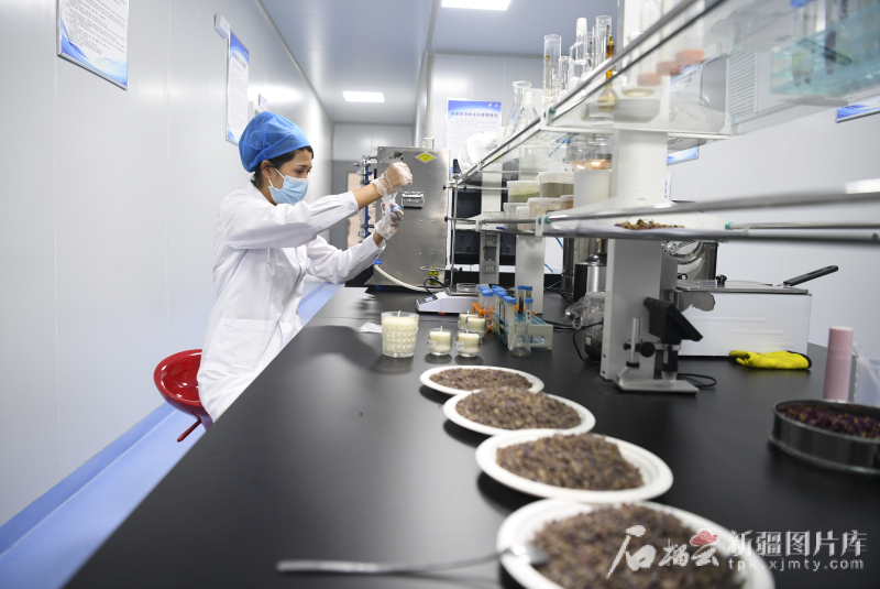 
南京脑科医院黄牛代挂号电话票贩子号贩子网上预约挂号,住院检查加快,环着沙漠看新疆丨沙漠植物变“护肤宝贝”