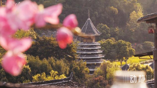 
上海胸科医院黄牛代挂号电话票贩子号贩子网上预约挂号,住院检查加快,贵州：用数字化解码非遗DNA