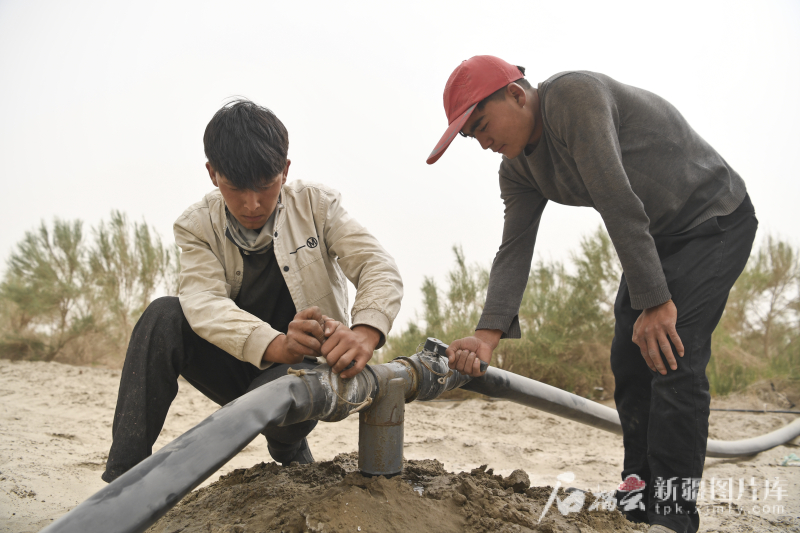 
广州各大医院黄牛代挂号电话票贩子号贩子网上预约挂号,住院检查加快,环着沙漠看新疆丨沙雅县多措并举推进生态保护与绿色发展