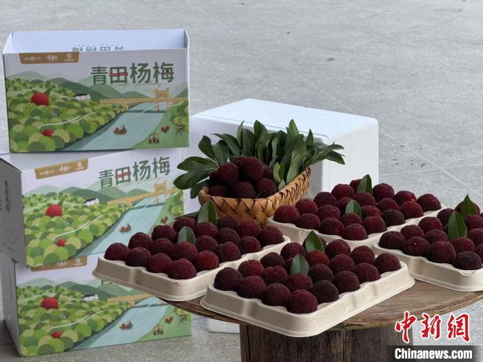 
首都医科大学附属儿童医院黄牛代挂号电话票贩子号贩子网上预约挂号,住院检查加快,高速赋能产业升级：一条“杨梅路”的致富密码