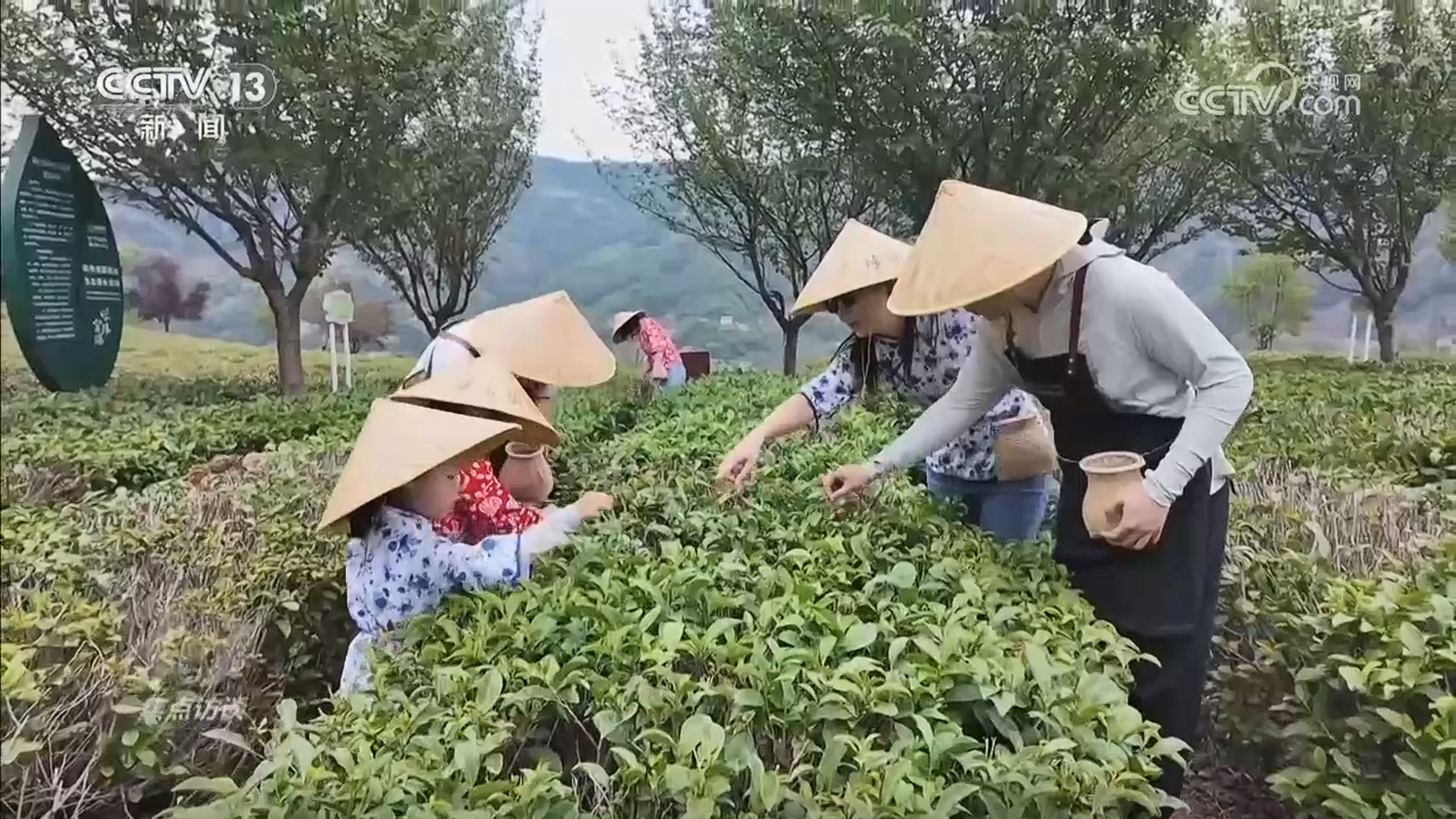 
北京广安门中医院黄牛代挂号电话票贩子号贩子网上预约挂号,住院检查加快,焦点访谈丨从“活起来”到“火起来” 非遗如何成为各地文旅新名片