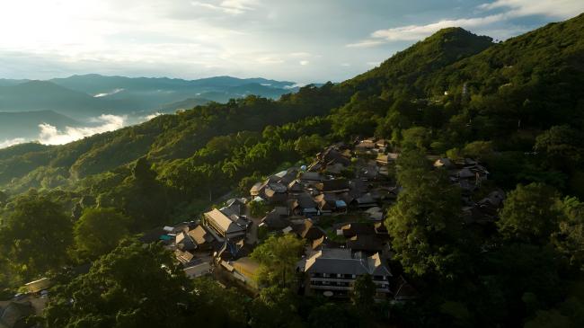 
北医三院黄牛代挂号电话票贩子号贩子网上预约挂号,住院检查加快,【文化和自然遗产日】漫动时节丨茶：人在草木间
