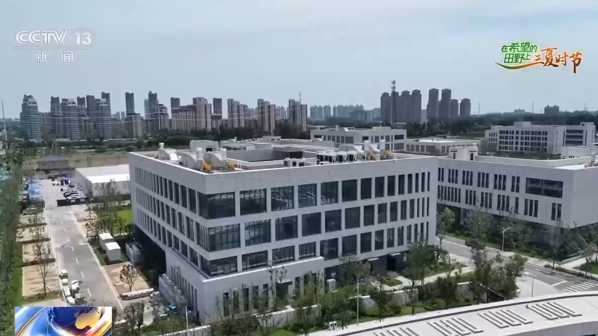 
上海中山医院黄牛代挂号电话票贩子号贩子网上预约挂号,住院检查加快,AI解锁丰收密码丨把滴灌带“种”进玉米地 干旱时也能实现高效灌溉